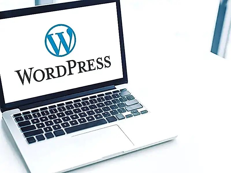 WordPress Web Sitesi Kurma