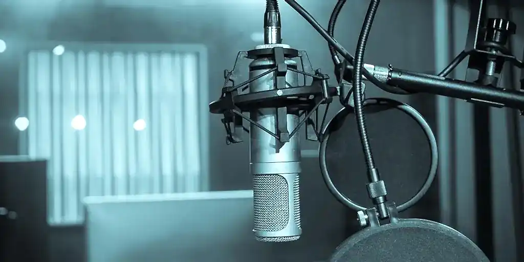 Seslendirme ve Dublaj